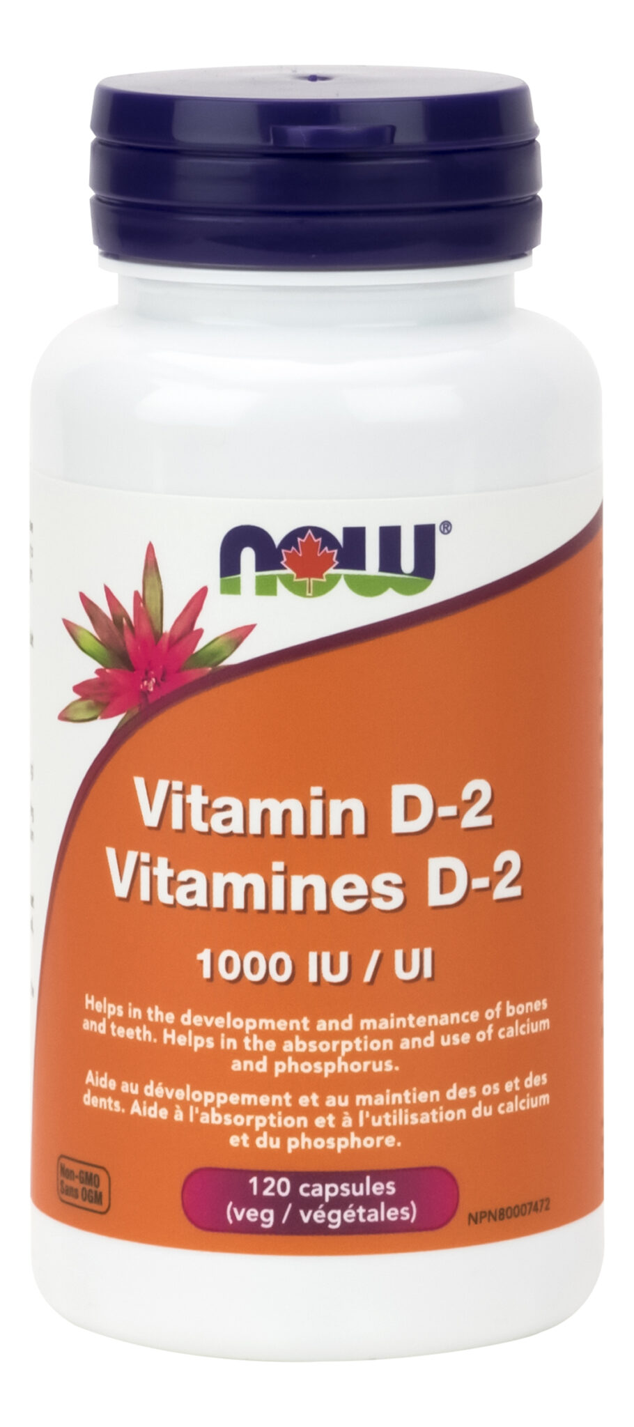 NOW Vitamin D 2 1 000 IU 120 Veg Caps Vegetarian Dry Nature S Care   80368 Vit D2 DryVegan 1000120v 1 910x2048 